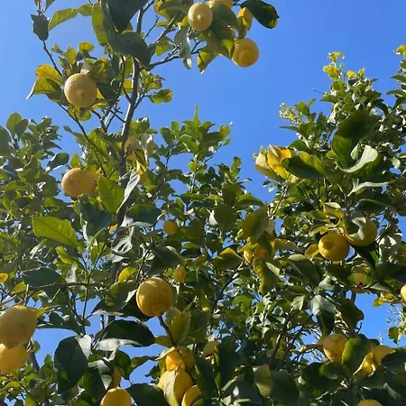Con Piscina In Abruzzo - A 7 Minuti Dal Mare * Ripa Teatina