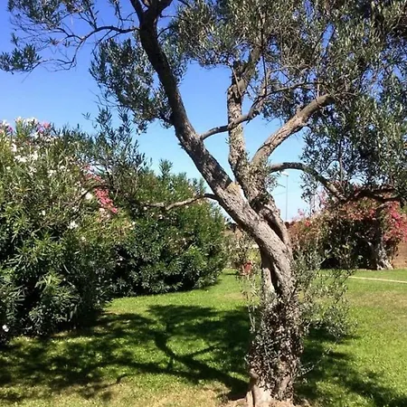 Con Piscina In Abruzzo - A 7 Minuti Dal Mare Villa Ripa Teatina